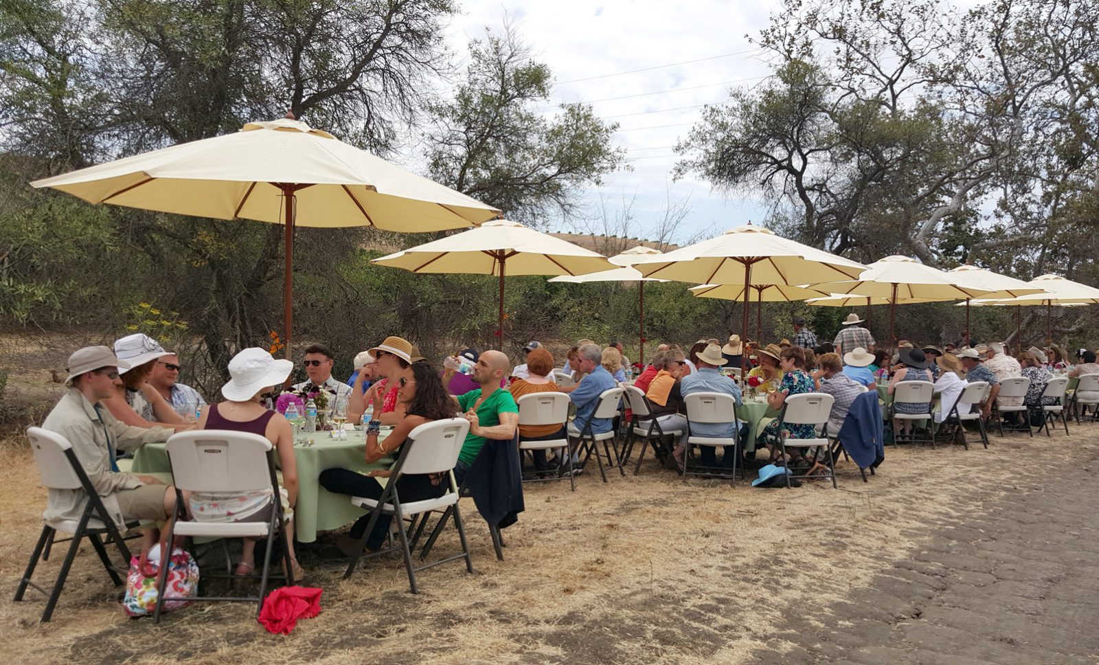 Banquet in the Vineyard