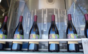 Finished wine bottles coming off the bottling line Wine bottles in production, showing finished winte bottles coming off of the bottling line